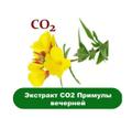 Экстракт Примулы вечерней