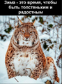 Индивидуальная программа питания